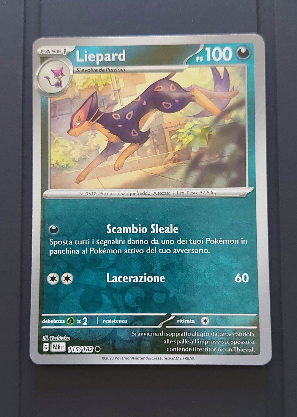 LIEPARD