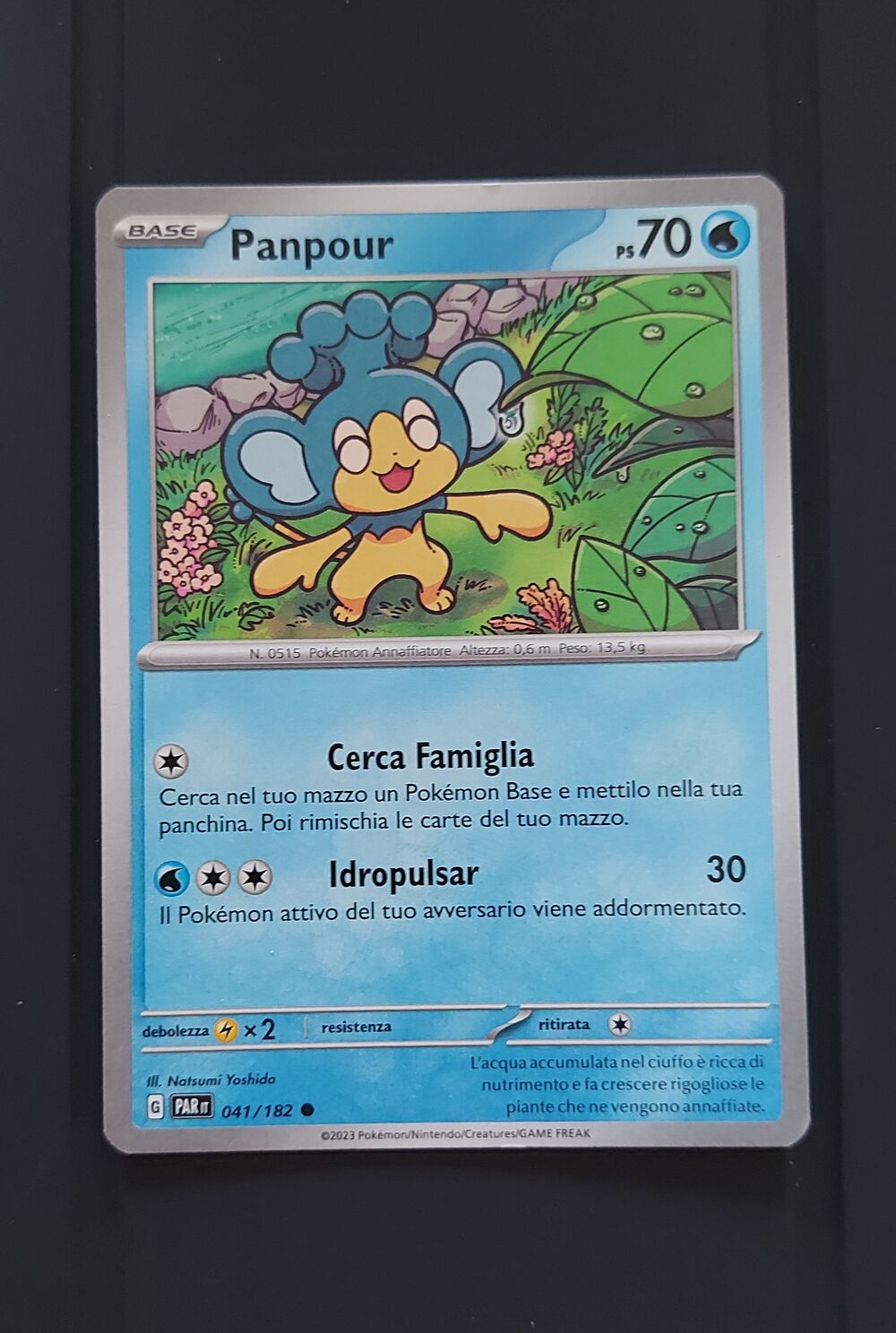 PANPOUR