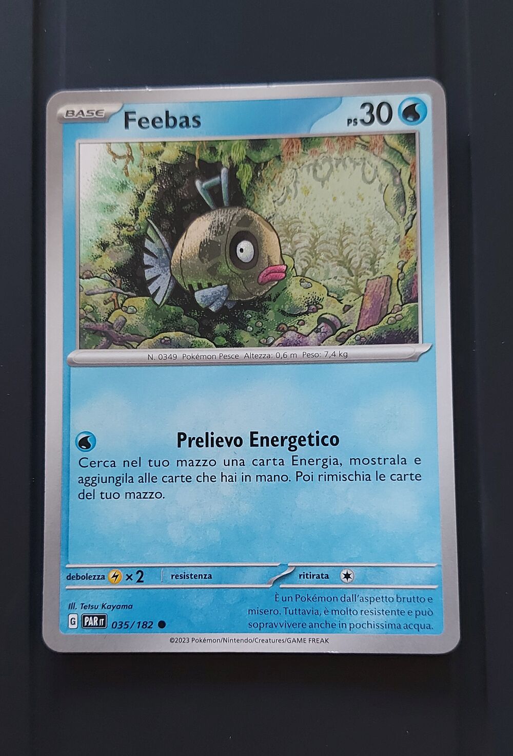 FEEBAS