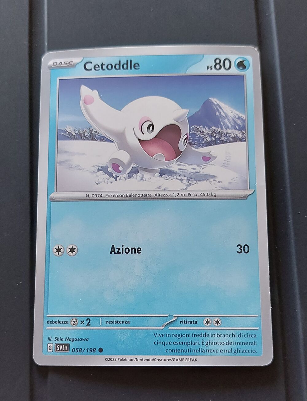 CETODDLE
