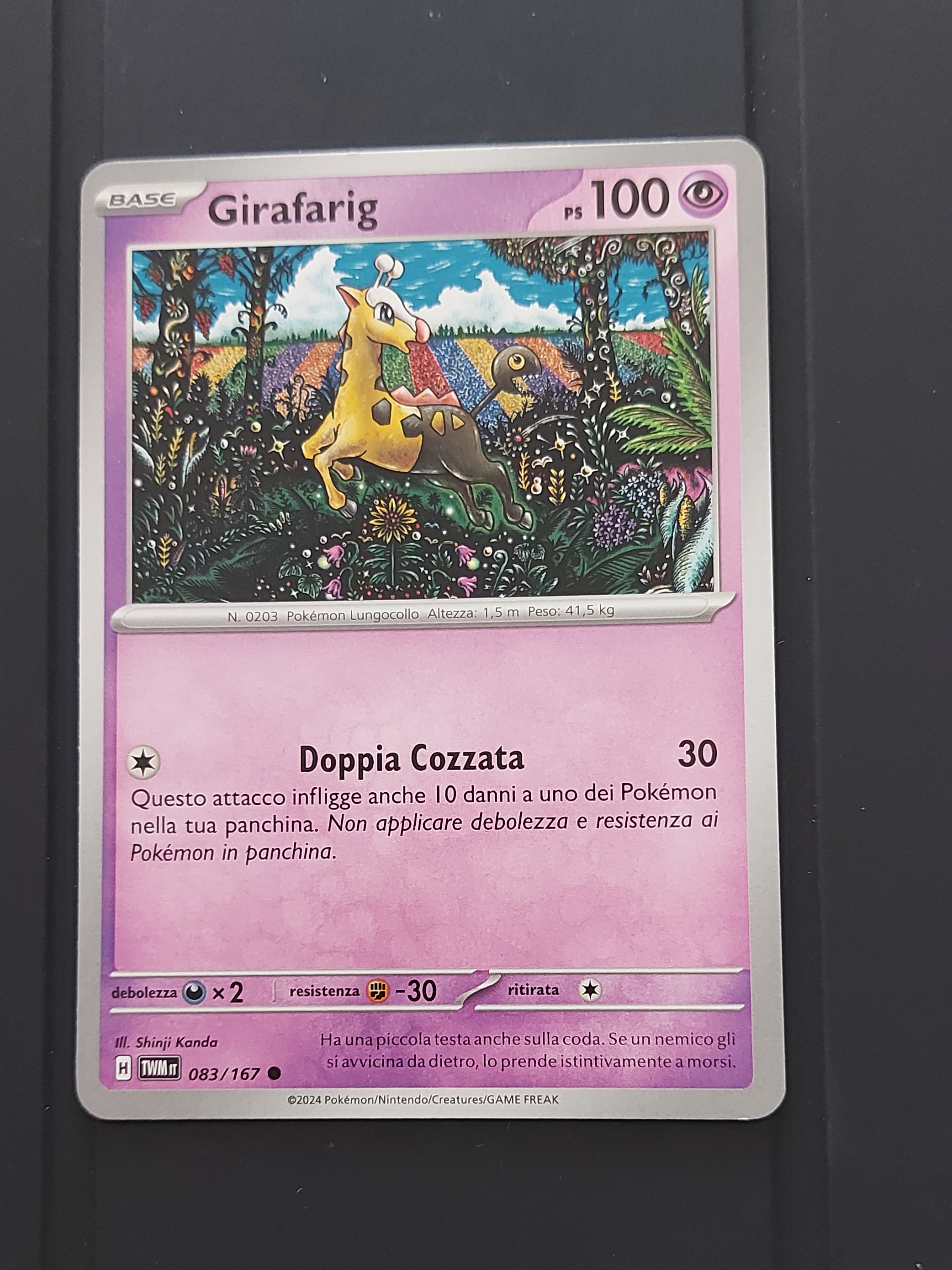 GIRAFIG
