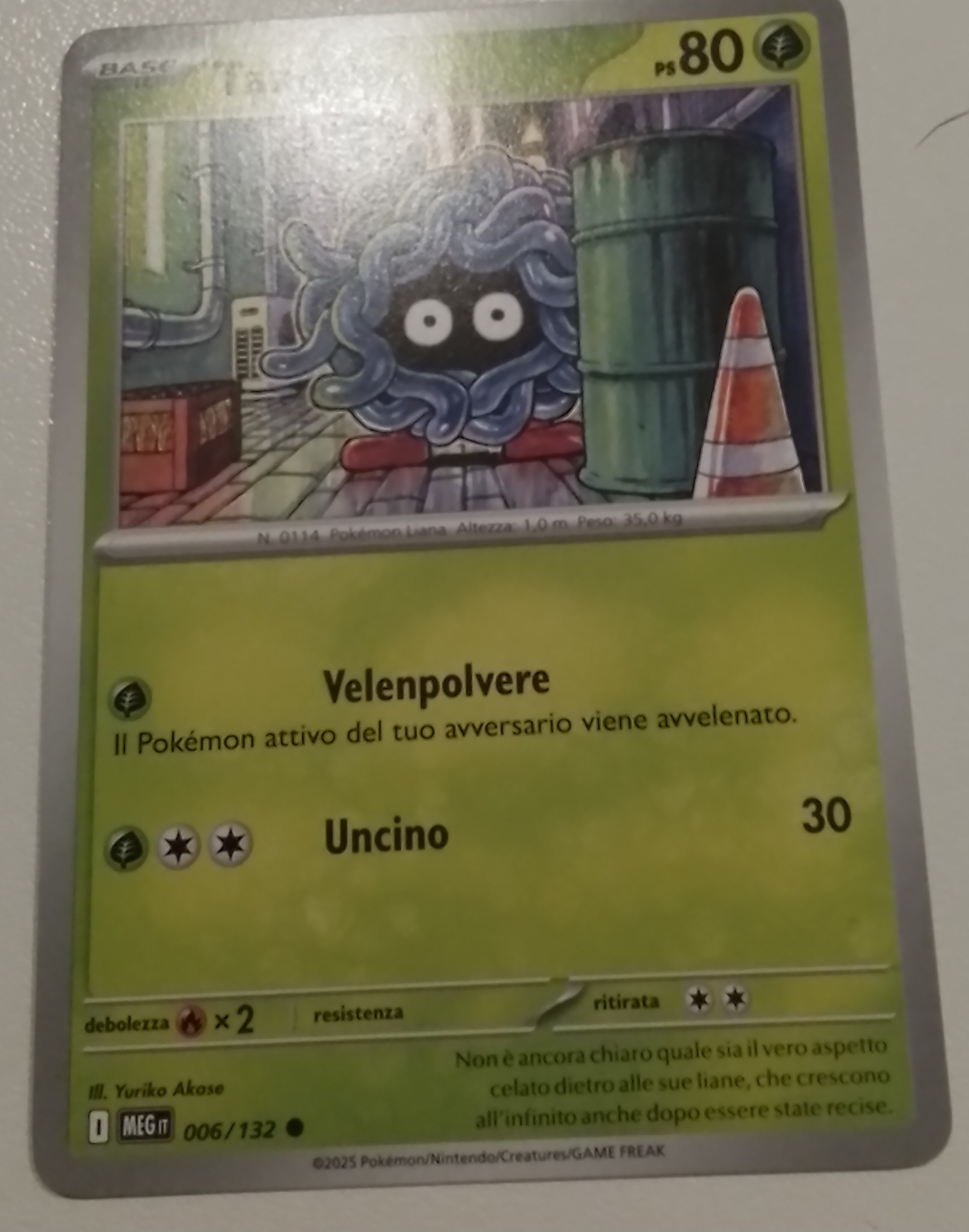 TANGELA